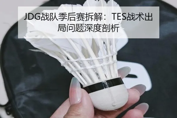JDG战队季后赛拆解：TES战术出局问题深度剖析（PG）